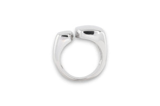 Anthropic Chrome Ring